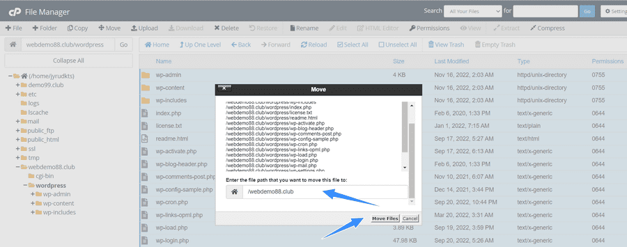 chọn move file wordpress vào chính xác thư mục gốc của website