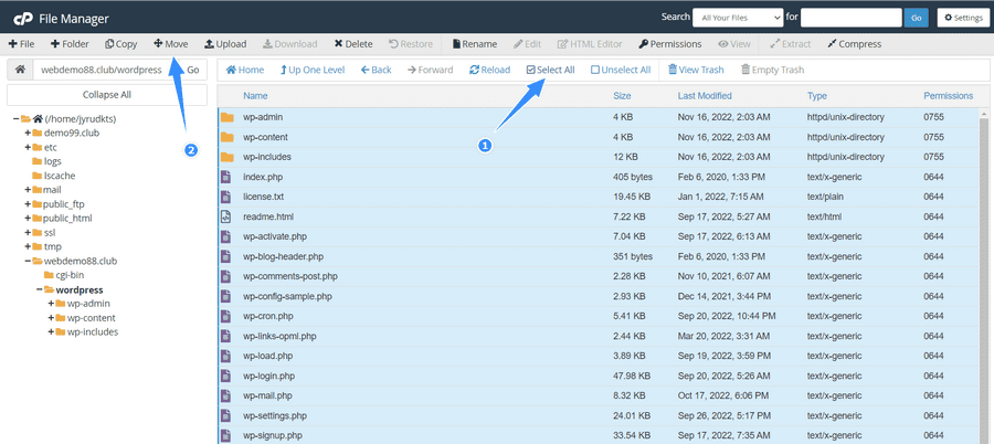 move toàn bộ mã nguồn wordpress ra thư mục chính
