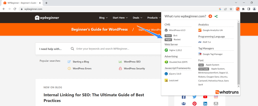 kiểm tra theme wordpress bằng extension