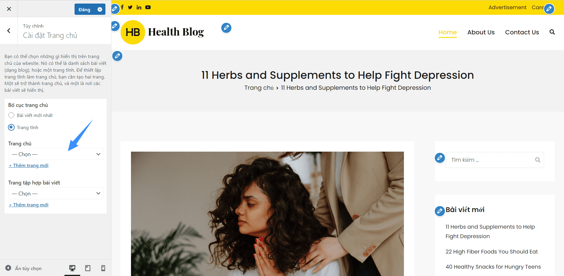 thủ thuật wordpress tùy biến trang chủ trong tùy chọn theme