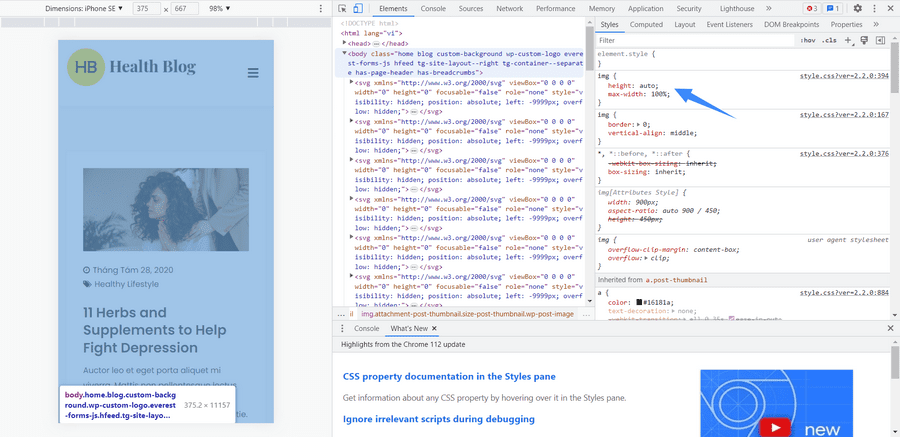 thủ thuật wordpress kiểm tra phần từ