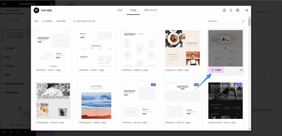 chèn các landing page mẫu cho website wordpress