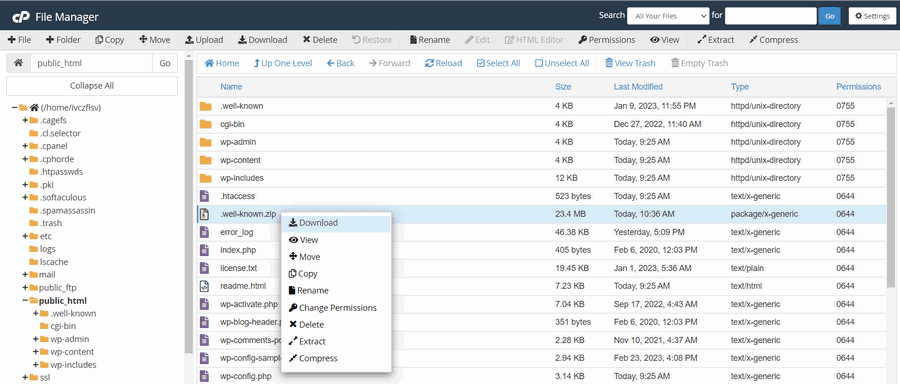 download toàn bộ mã nguồn zip của website wordpress để backup