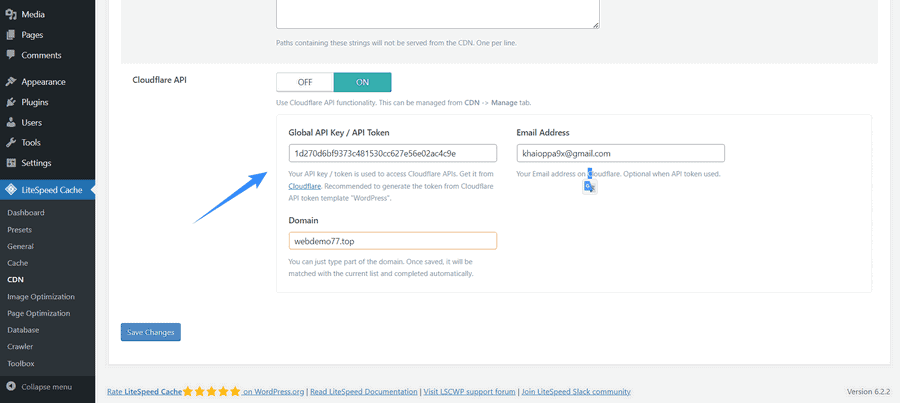nhập api key cloudflare vào litespeed cache