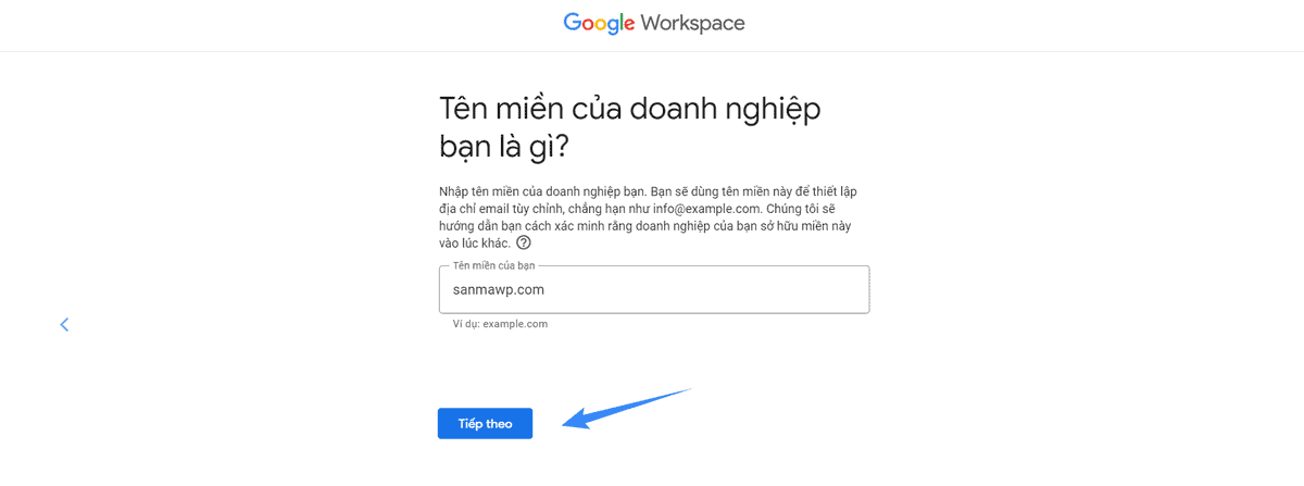 điền chính xác tên miền để đăng ký google workspace