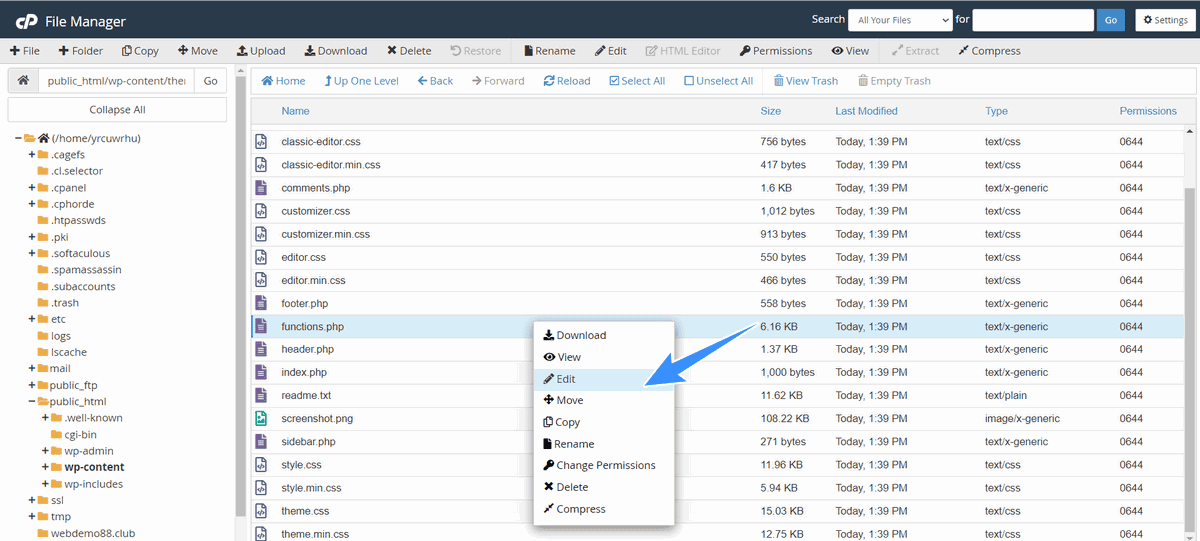 edit file function php trên hosting cpanel